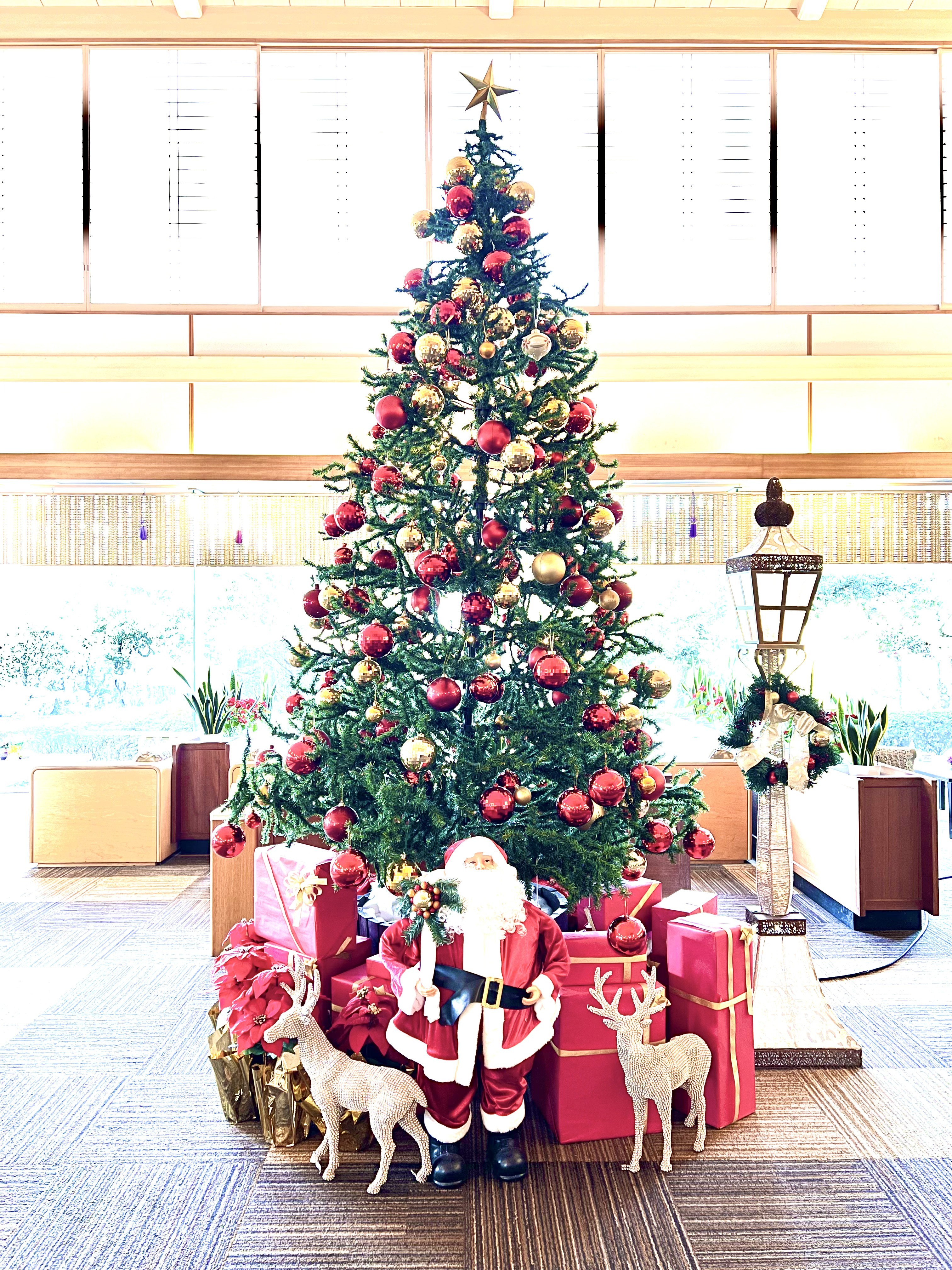 勝浦ゴルフ倶楽部 クラブハウス内のクリスマスツリー