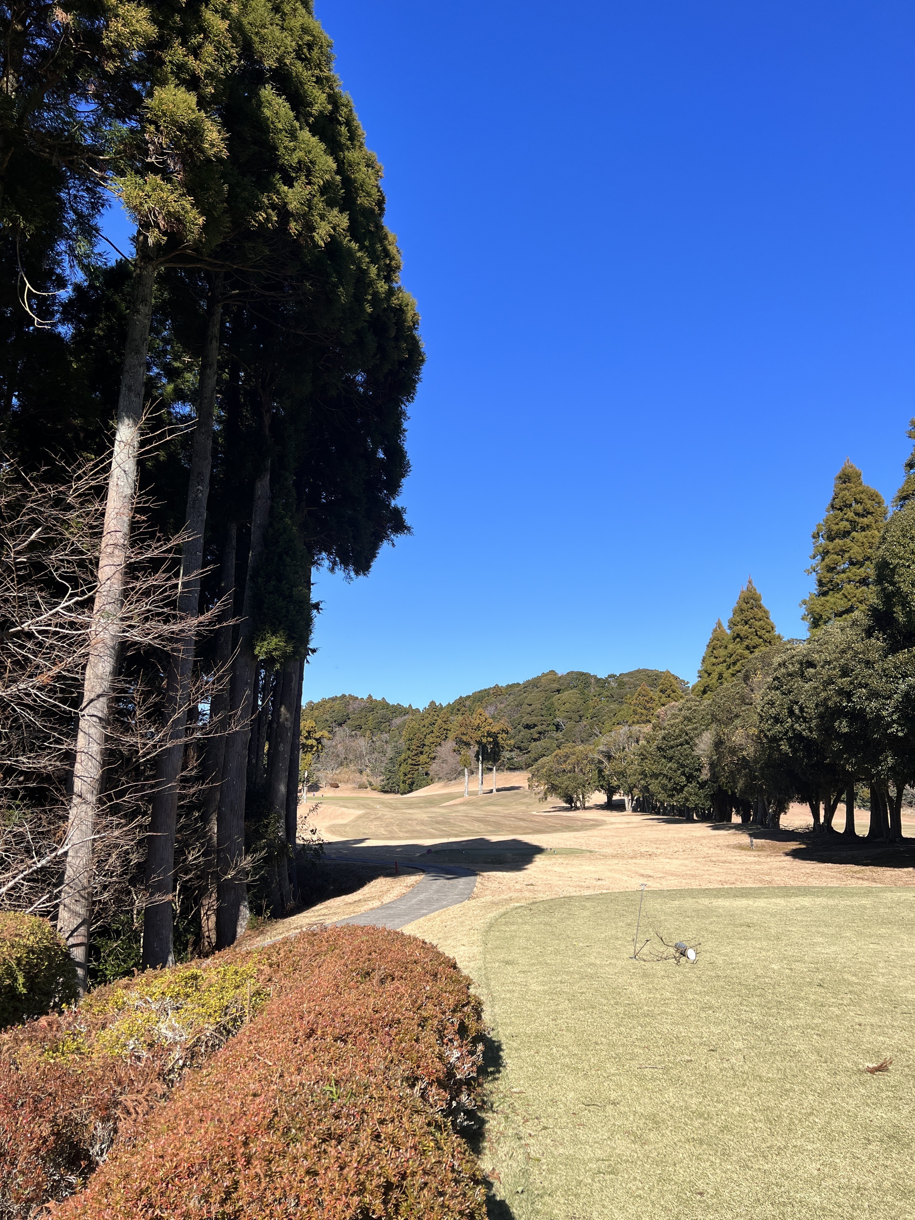 勝浦ゴルフ倶楽部 青空とフェアウェイ