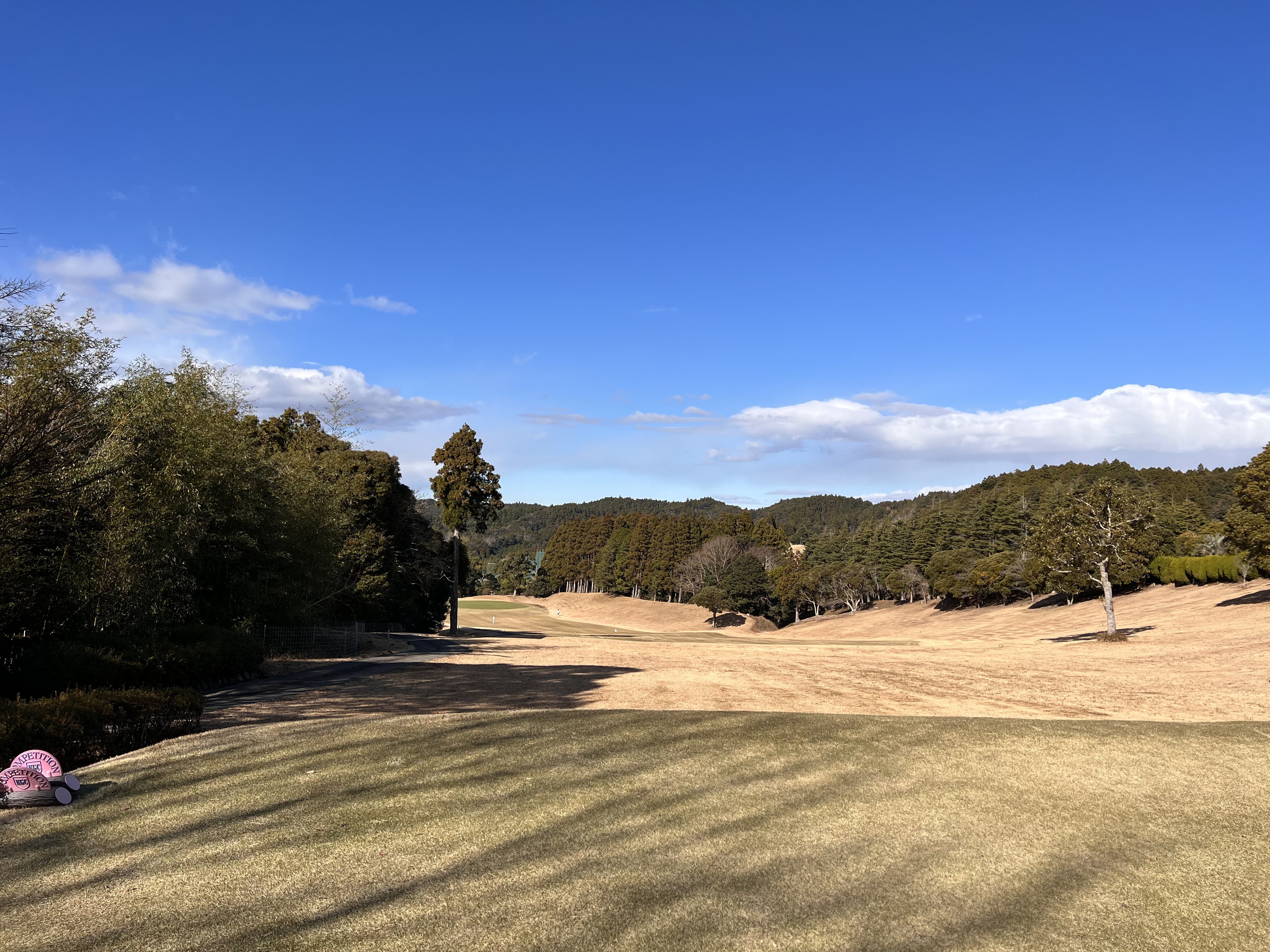 勝浦ゴルフ倶楽部 フェアウェイ全景とアップダウン