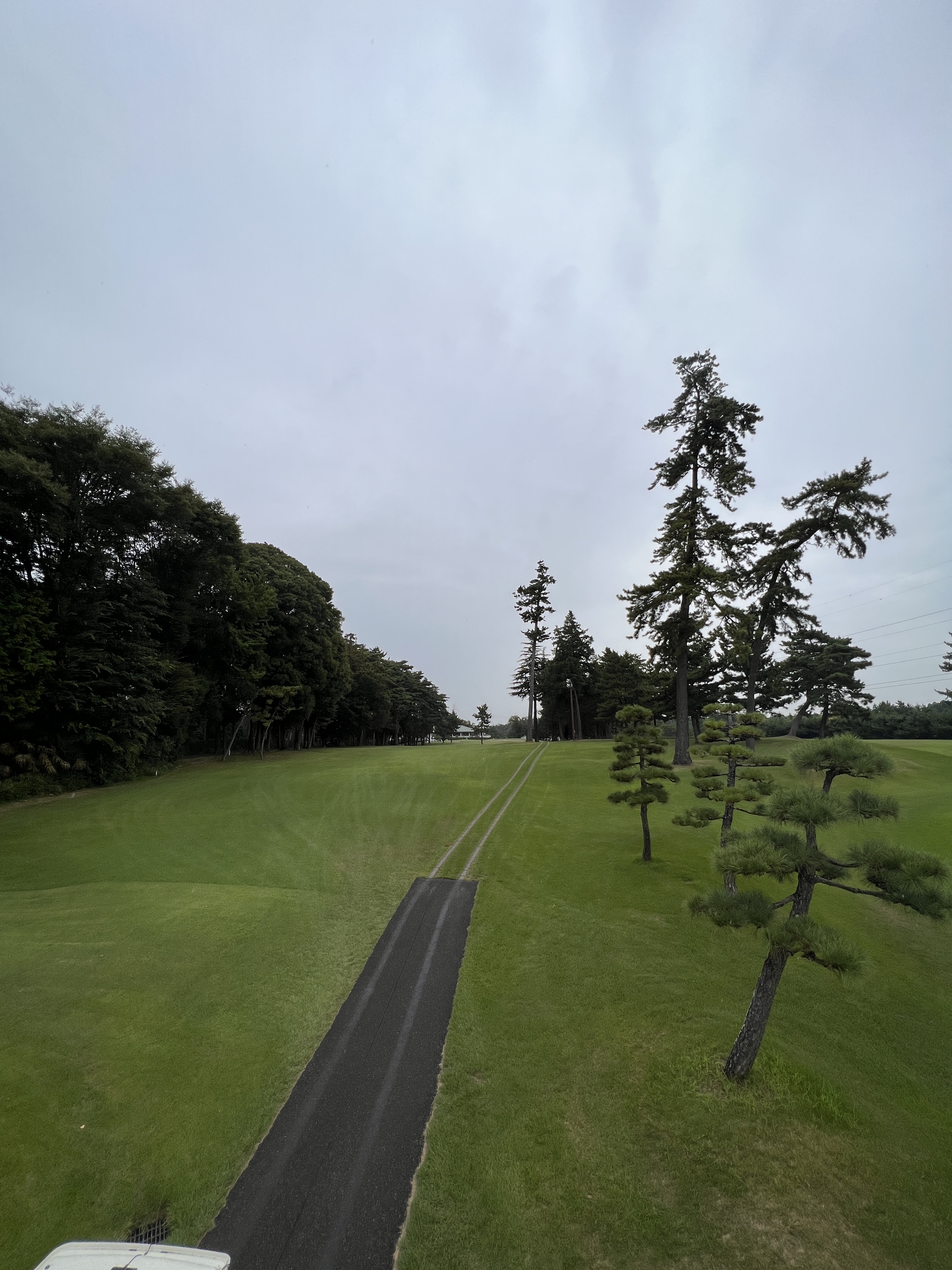 紫CC あやめコース カート道とフェアウェイ