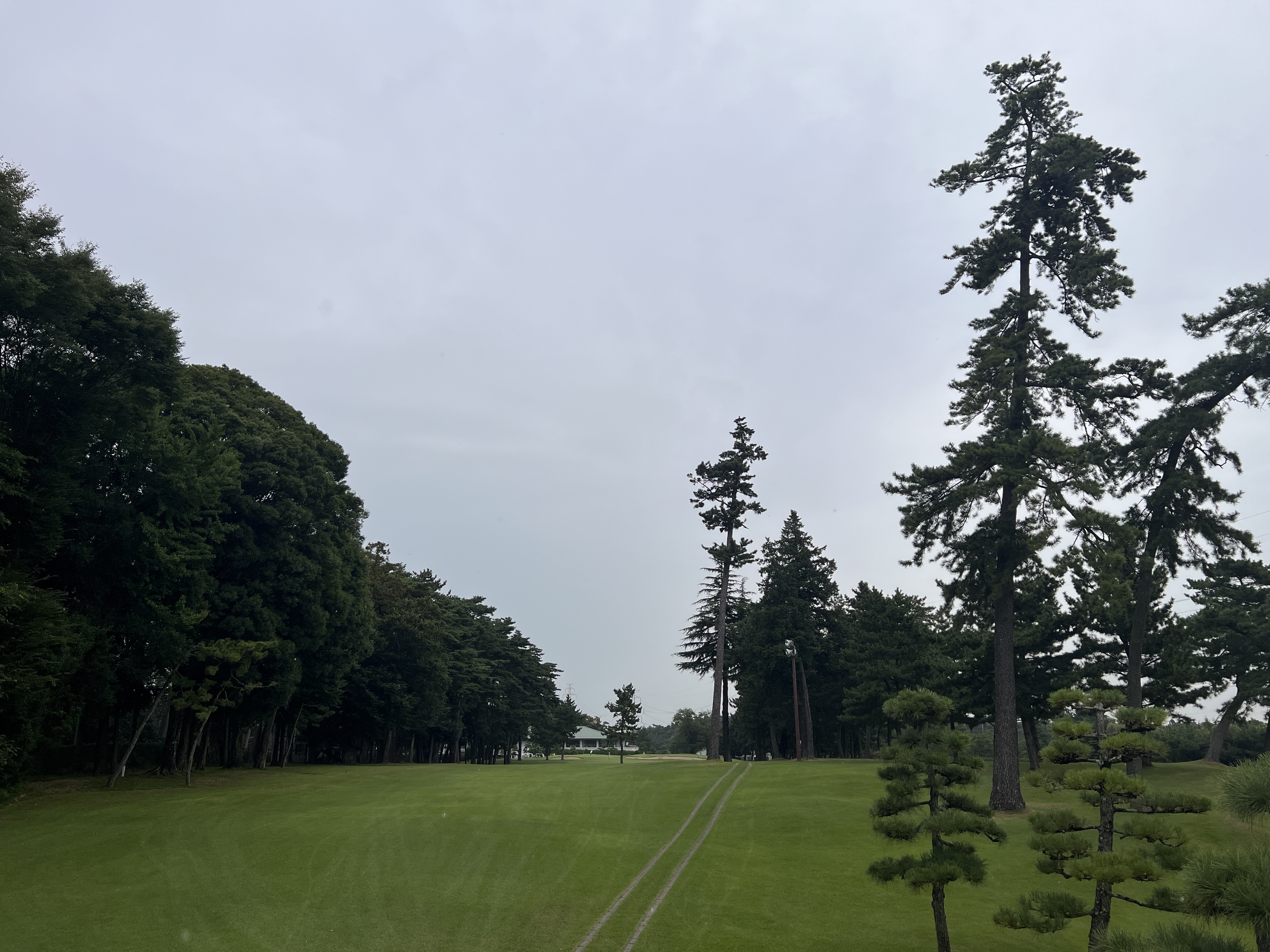 紫CC あやめコース フェアウェイ全景