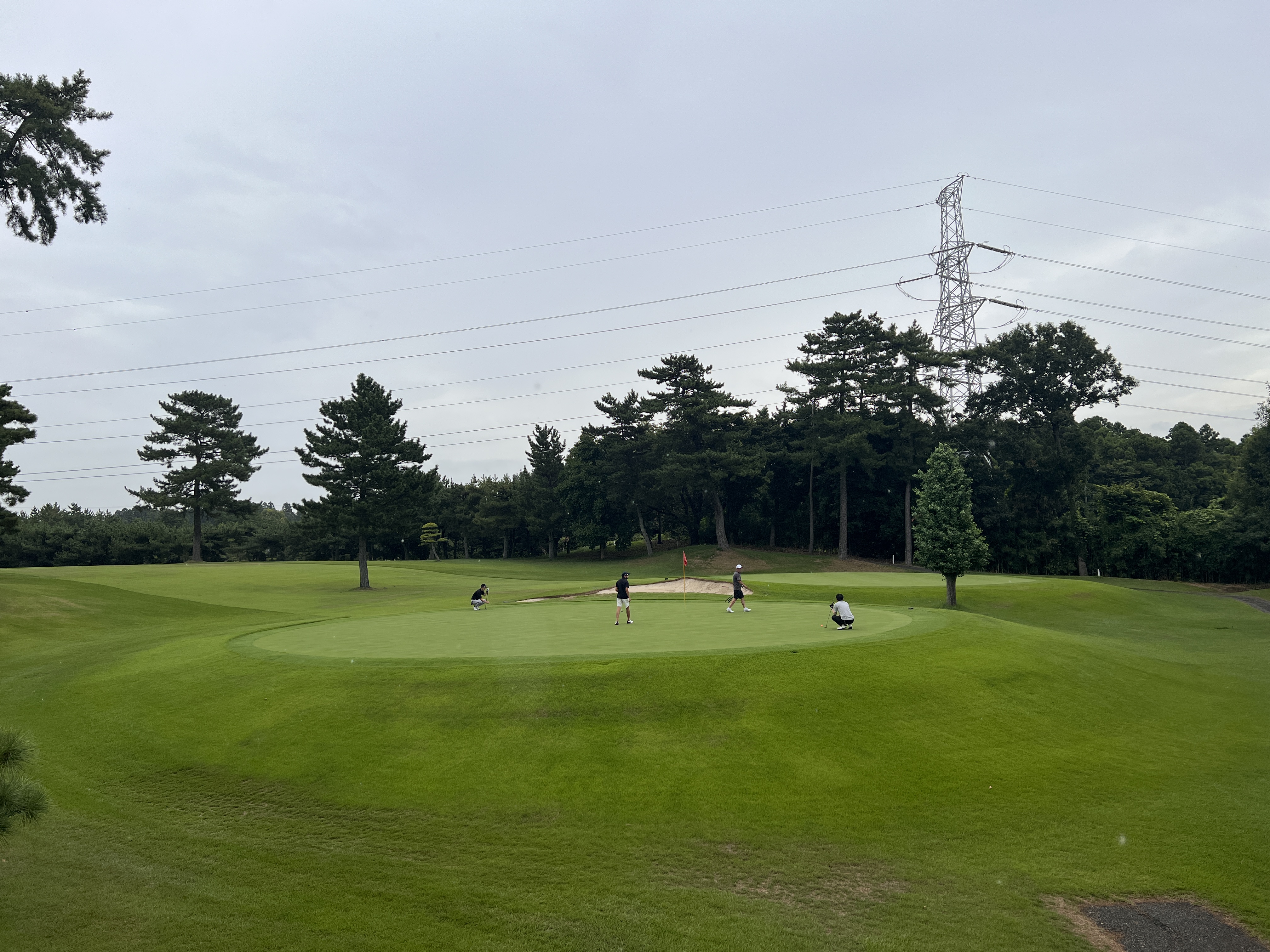 紫CC あやめコース グリーン上のパッティング