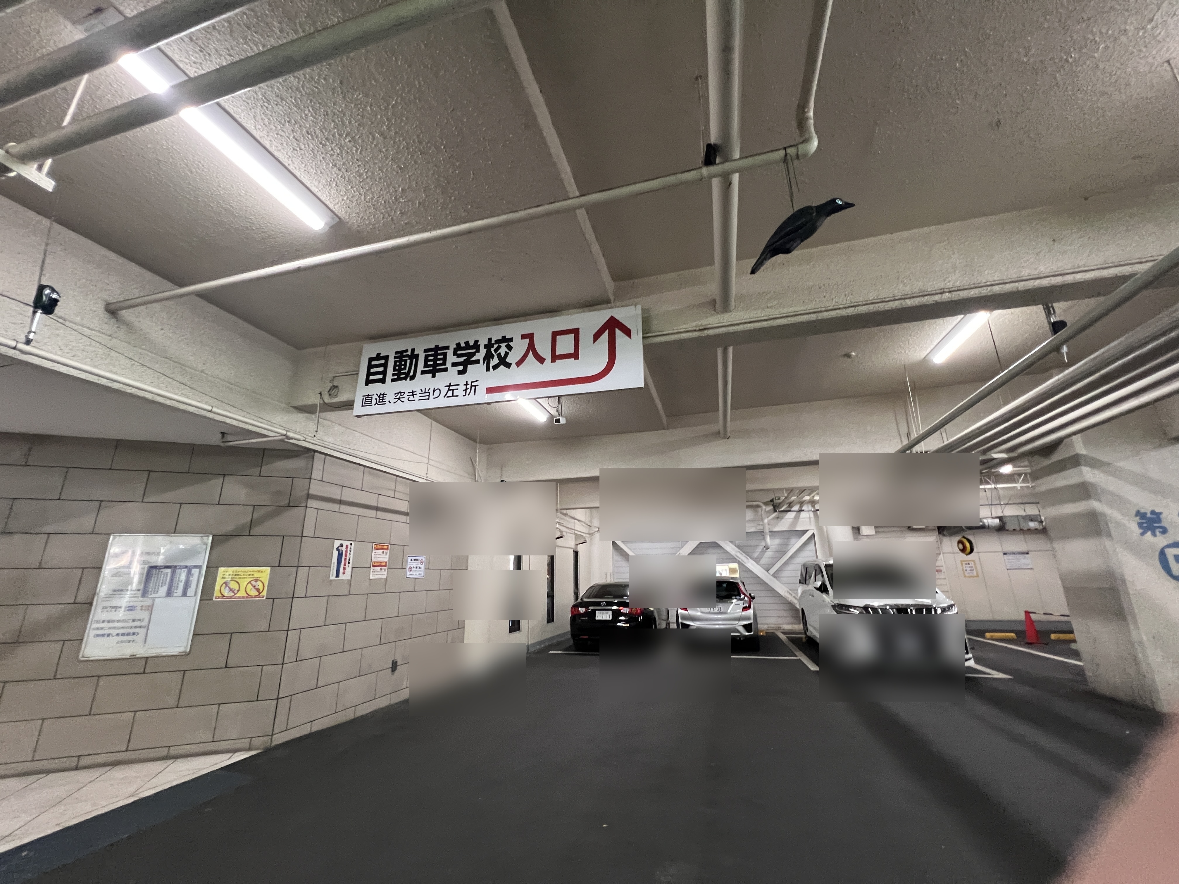 駐車場内の自動車学校入口案内