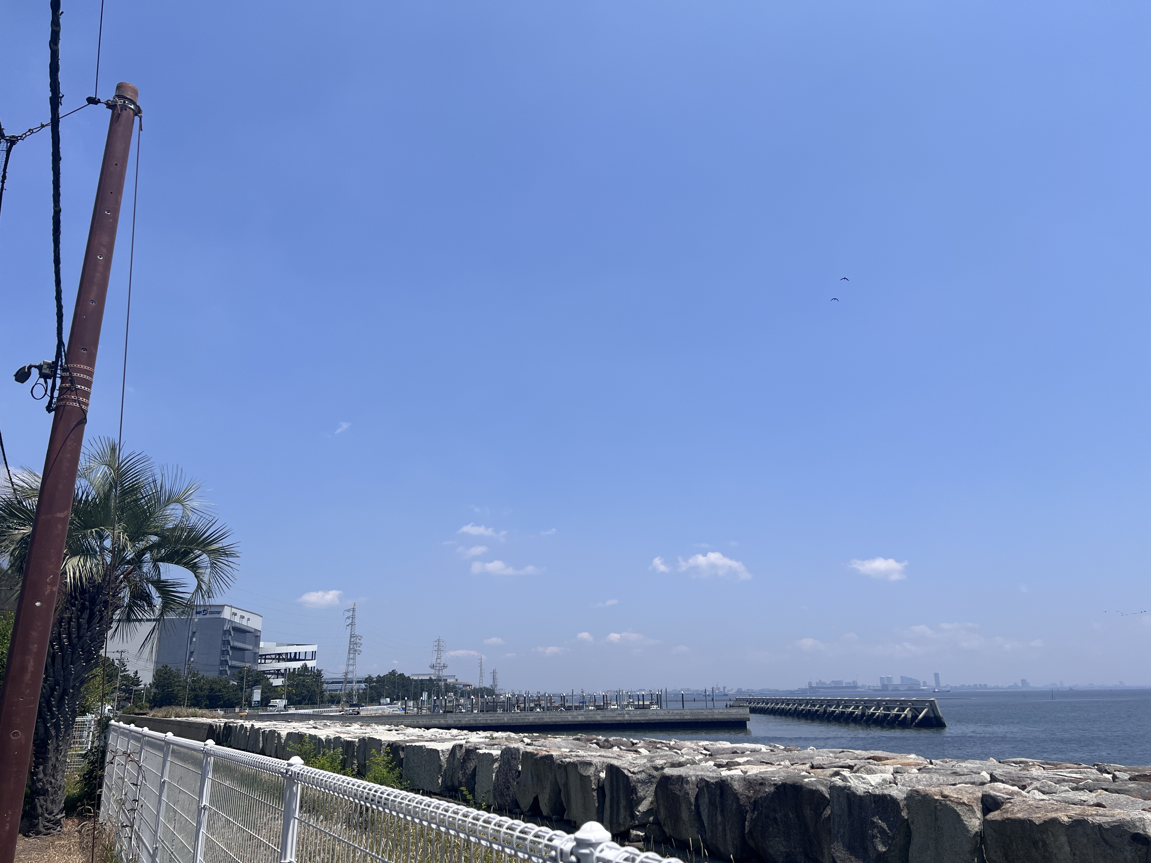 施設前から見える海と椰子の木、対岸のビル群