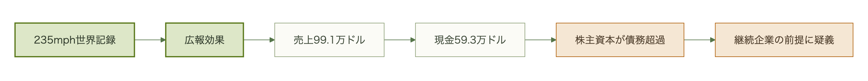 世界記録樹立から継続企業の前提の疑義表明までの流れ図