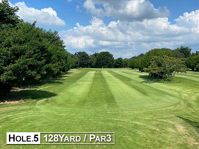 熊谷武蔵野ゴルフセンター ショートコース5番ホール(128yd)