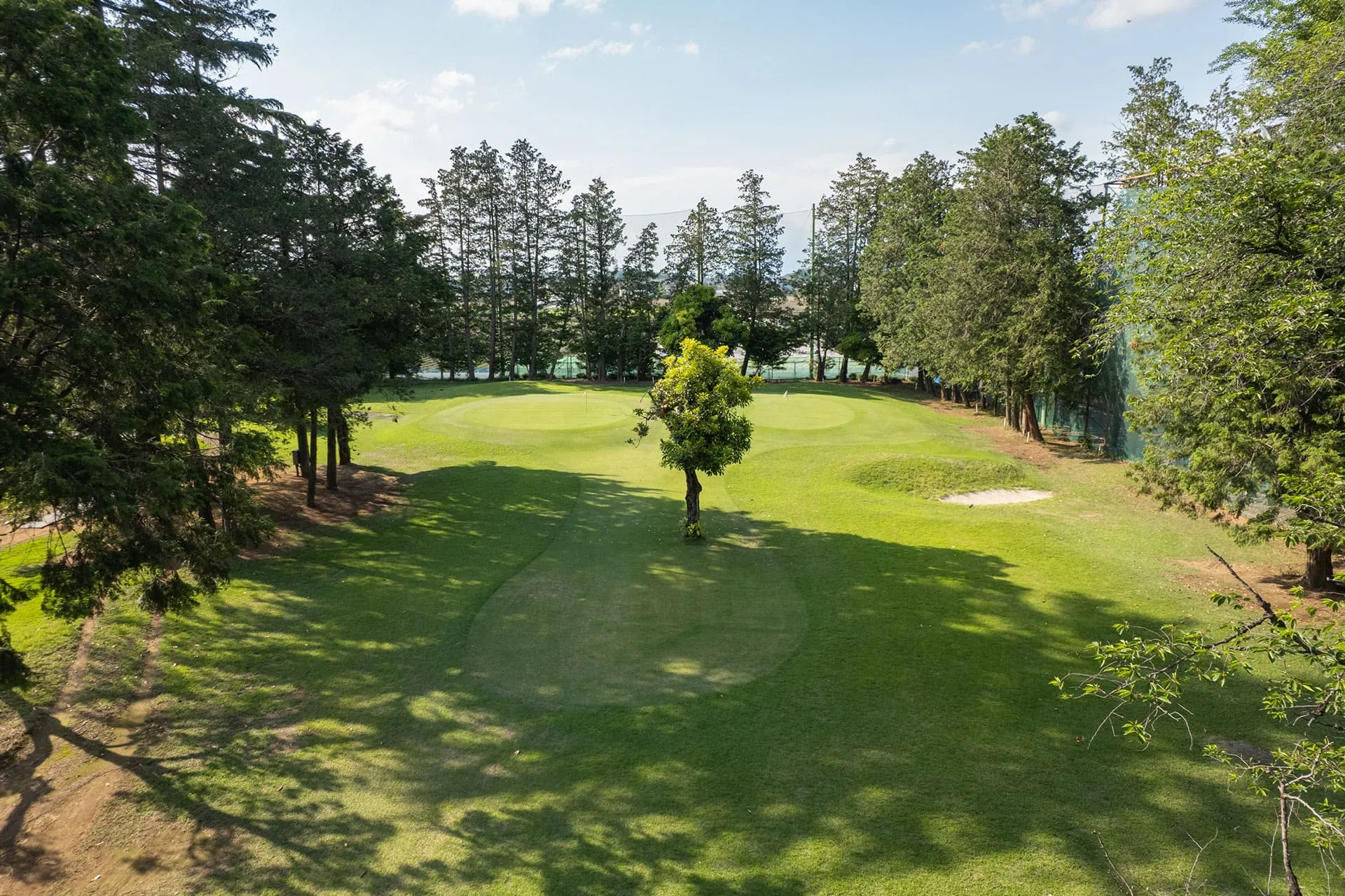 花湯の森ショートコース No.7(146yd)グリーン周り