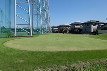 中央ゴルフ練習場 高麗芝の練習グリーン(東側)