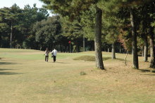 みどりが丘ゴルフ(ショートコース) 林間のコース風景