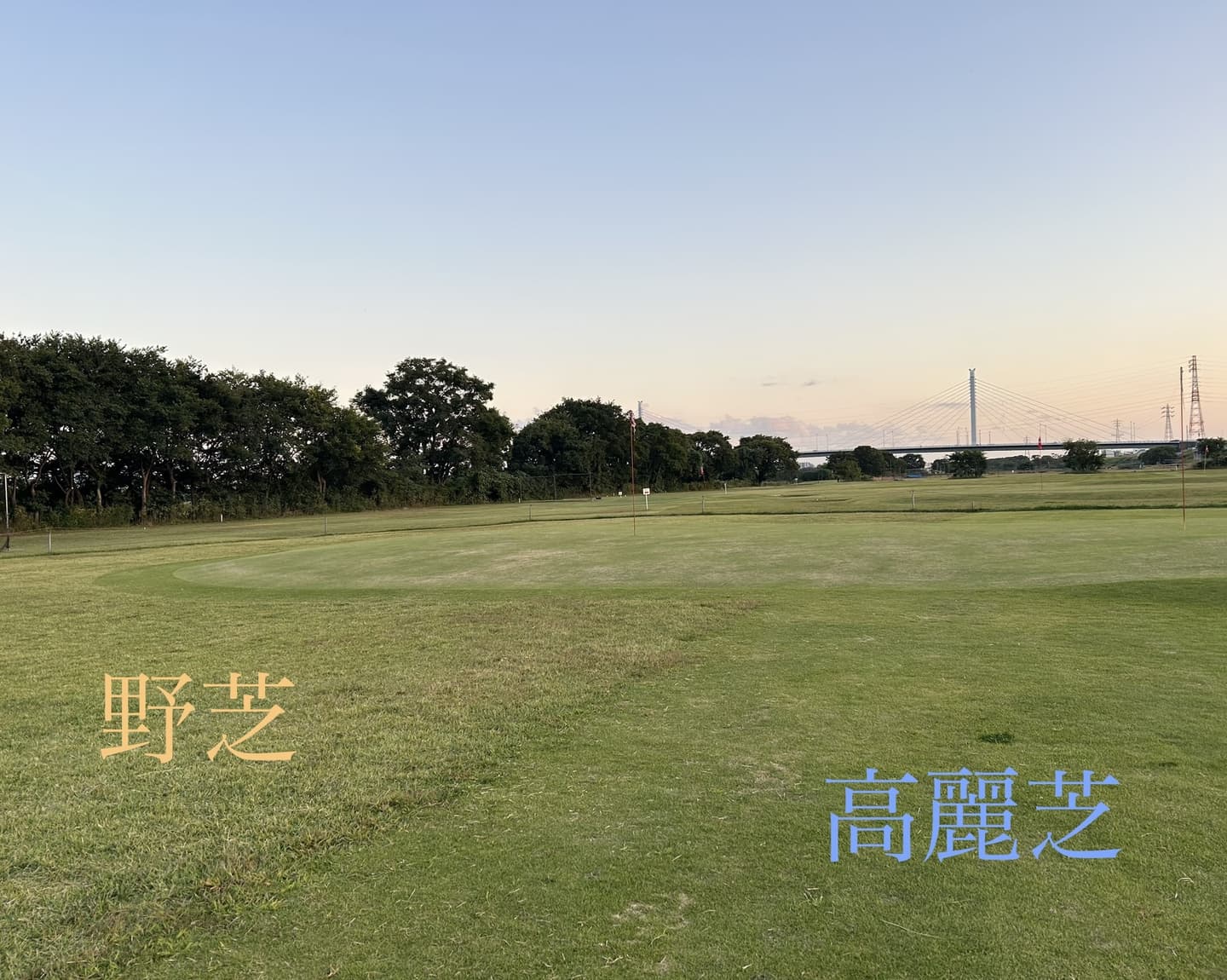 湘南銀河大橋ゴルフ(SHONAN G.O.G) 野芝と高麗芝のアプローチ練習場