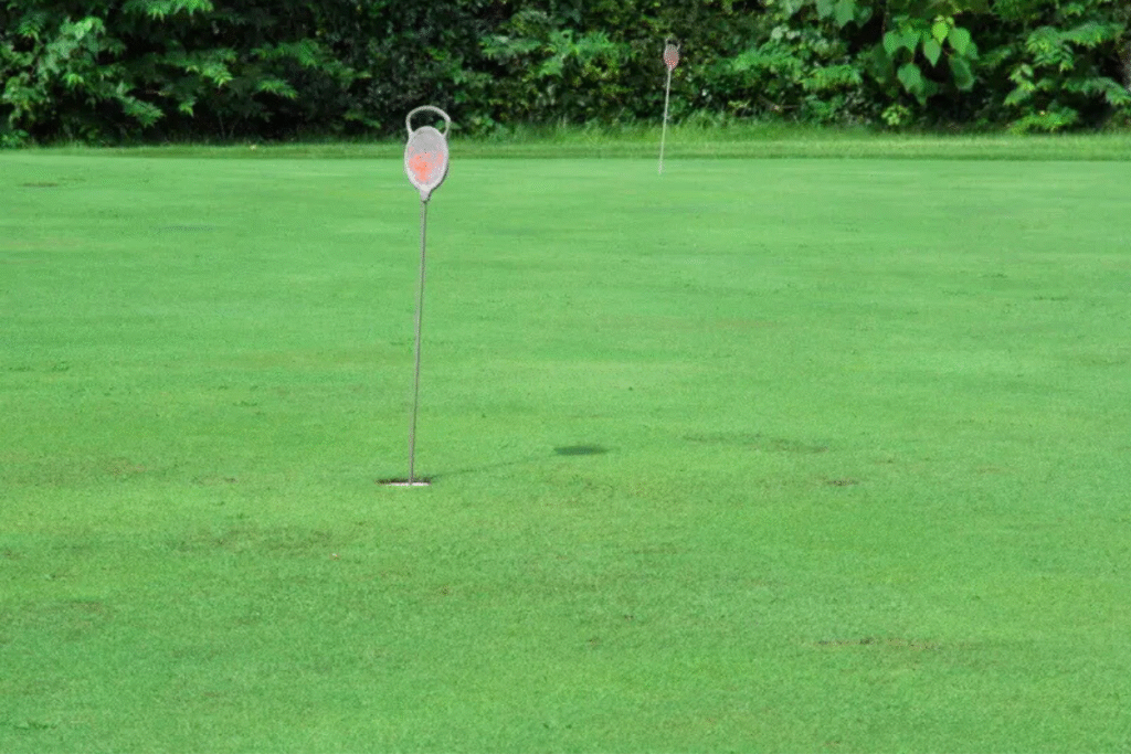 ZAMA GOLF(座間ゴルフ練習場) パター練習場のカップ