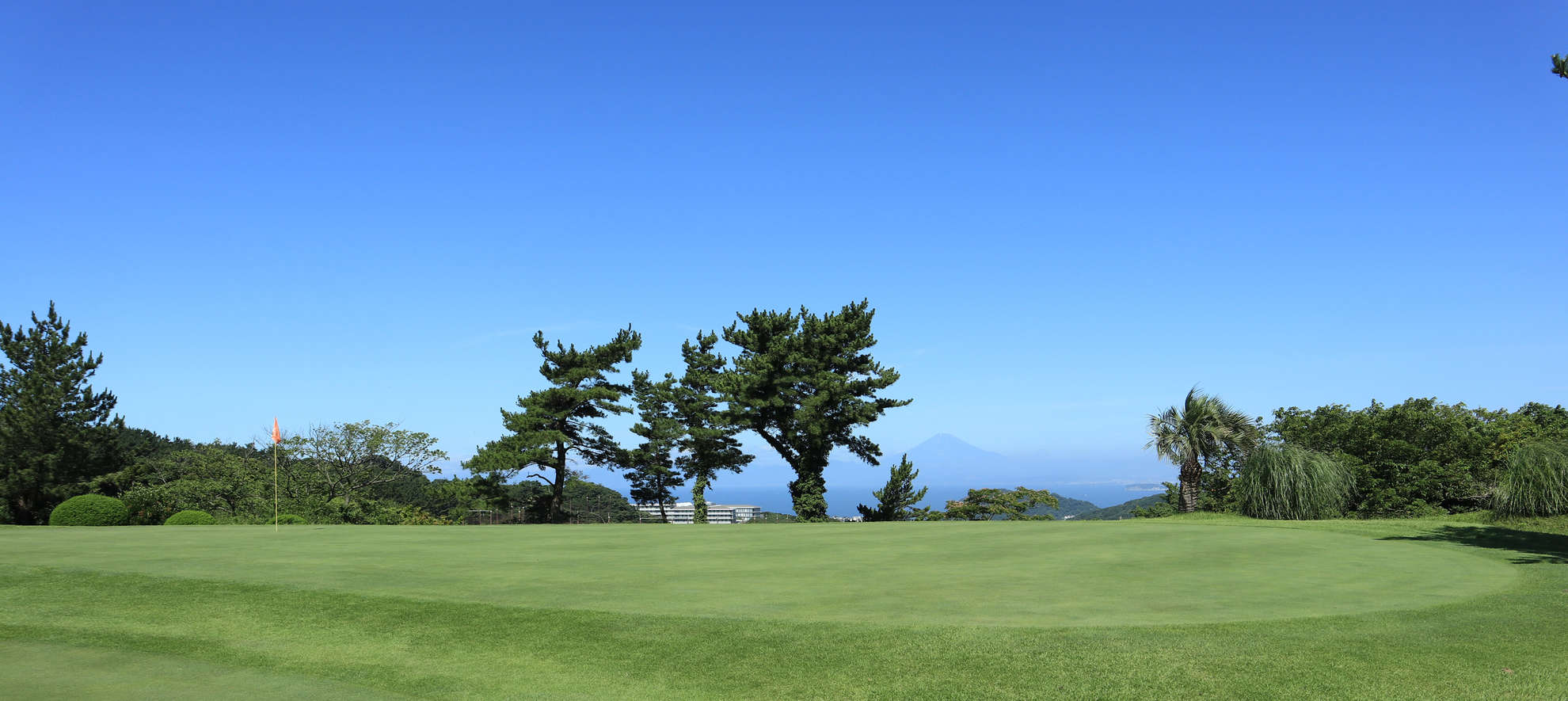 葉山パブリックゴルフコース・練習場 高台のグリーンと松