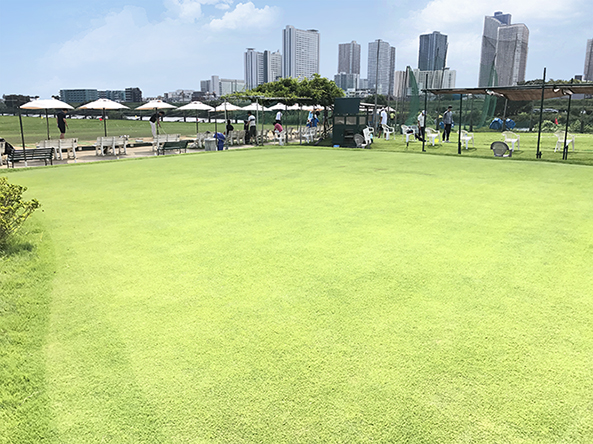 東京多摩川ゴルフ練習場 天然芝のパッティンググリーン