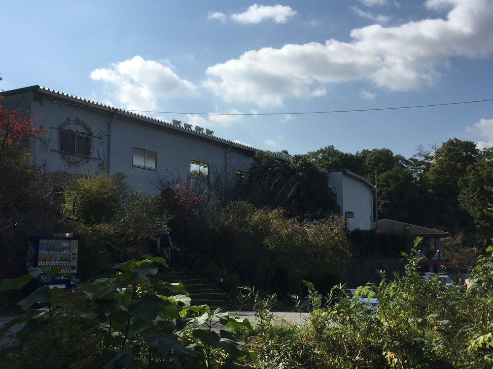 二軒茶屋ゴルフ倶楽部 クラブハウスへの階段と桜・花壇