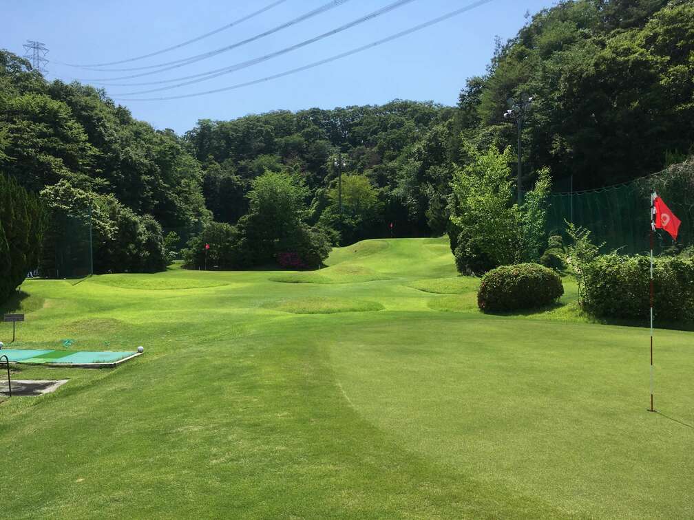 阪奈ゴルフ ショートコースのホールとグリーン