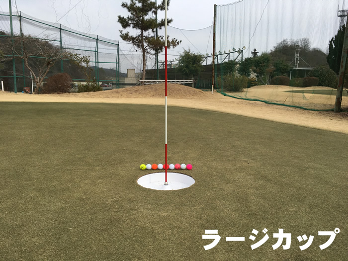 阪奈ゴルフ ショートコースのラージカップとグリーン