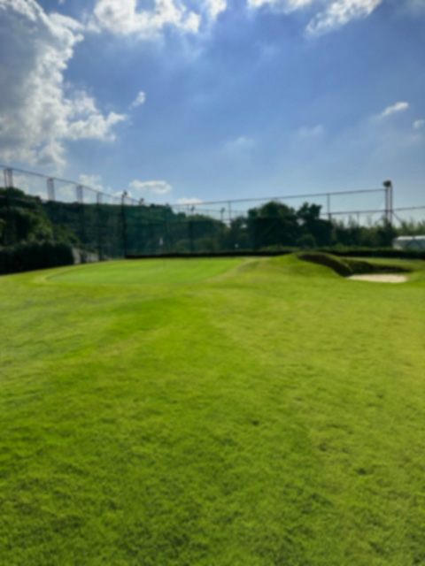 ON GOLF 天然芝のアプローチエリアとグリーン