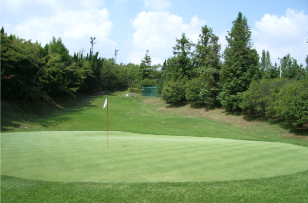 天野山パブリックゴルフ場 木立に囲まれたショートコースのグリーン