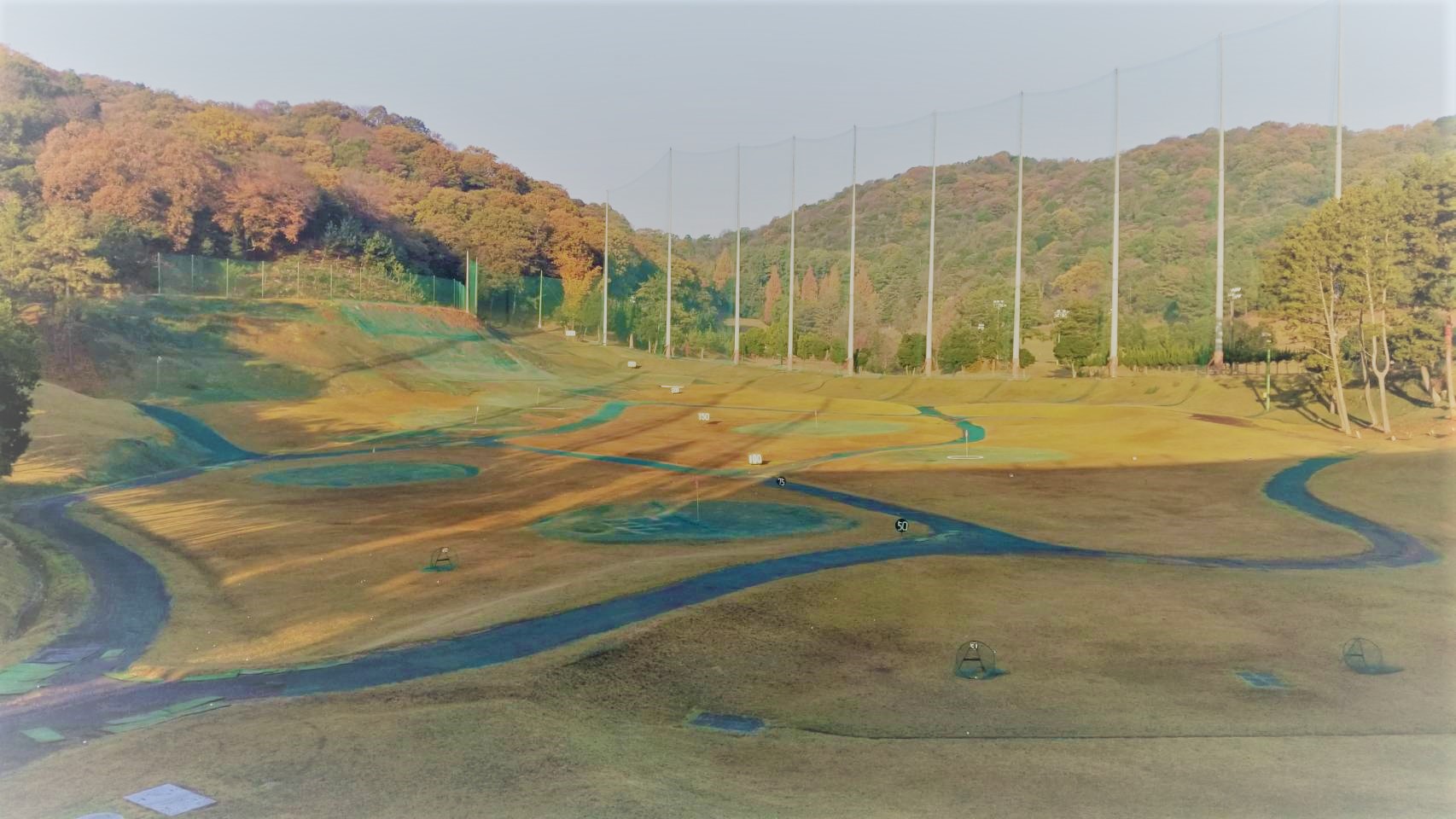青山ゴルフ練習場 紅葉期のレンジ全景