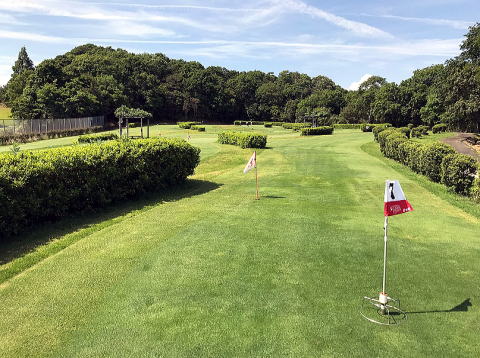 しあわせの村 すずらんゴルフ場 天然芝のパターコースのピン