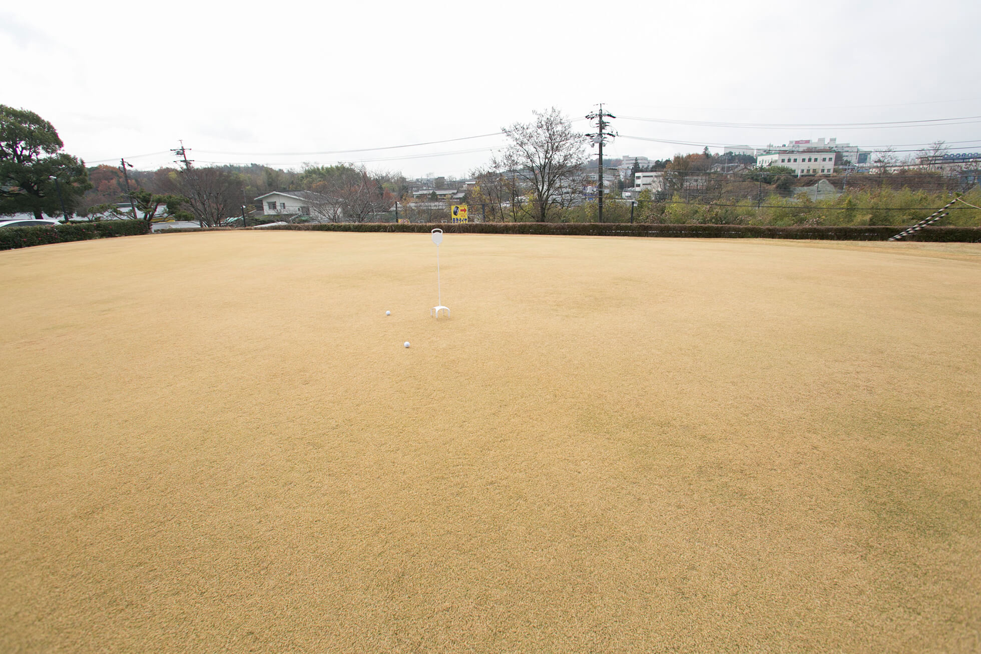 ゴルフ倶楽部大樹 瀬戸 高麗芝のパッティンググリーン