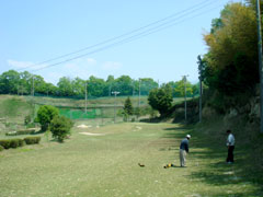 山之一色ゴルフ練習場 ミニコースのホールと芝
